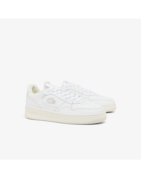 Baskets Court 48SMA0022 White/off White