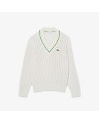 Pull en coton AH9303 laponie/calathea-jaune