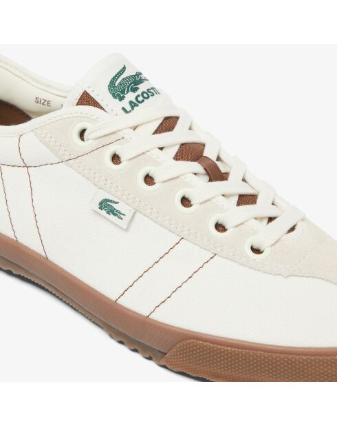 Baskets vulcanisées 49CMA0008 off White/Dark gum