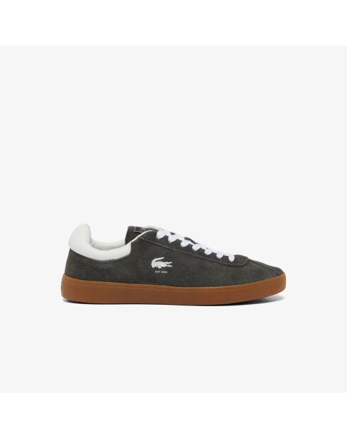 Baskets Court 48SMA0008 Dark Green/gum