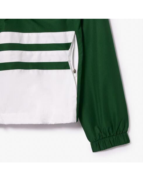 Ensemble de survêtement WH7566 vert/blanc