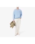 AH0039 Baumwollpullover Panorama/Grenadine-Laponie