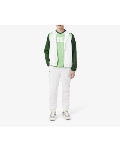 T-Shirt TH8975 liamone/vert-blanc