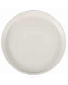 Lot de 6 pcs de service à dessert Berlin multicolore - 2,3x21,Lot de 6 cm