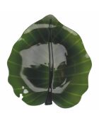 Soucoupe The Kitchen Green Leaf verte - 2,5x28x25 cm