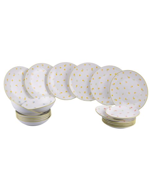 Service de table Botanical multicolore - 18 pièces