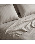 Bettlakenset Rechteckiger Mini-Kissenbezug aus gestreiftem Baumwollsatin, gewebt, Dobby Jacquard, Taupe, 150 x 200 cm