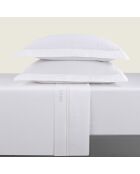 Bel set di maxi federe rettangolari in raso di cotone bianco