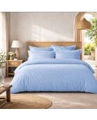 Drap plat en percale de coton uni ciel