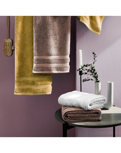 Set van 4 taupe gastenservetten - 30 cm