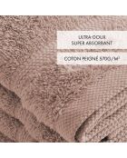Set van 4 taupe gastenservetten - 30 cm
