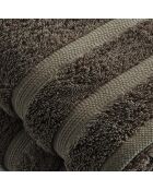 Set de 2 serviettes marron - 50x100 cm