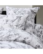 Drap plat en satin de coton Colibri botanique noir gris - 240x300 cm