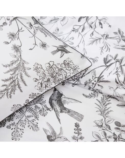 Drap plat en satin de coton Colibri botanique noir gris - 240x300 cm