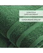 Set van 2 flessen groene badlakens - 70x140 cm