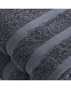 Set de 2 serviettes bleu gris - 50x100 cm
