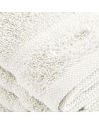 Set van 4 witte gastenservetten - 30 cm