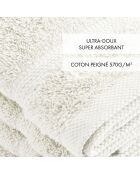 Set van 4 witte gastenservetten - 30 cm