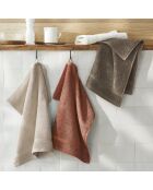 Set de 2 essuie-mains en coton ultra doux terracotta - 2x(45x45 cm)