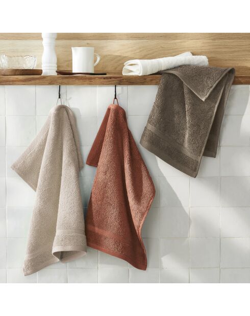 Set de 2 essuie-mains en coton ultra doux terracotta - 2x(45x45 cm)