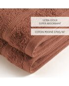 Set de 2 essuie-mains en coton ultra doux terracotta - 2x(45x45 cm)