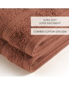 Set de 2 essuie-mains en coton ultra doux terracotta - 2x(45x45 cm)