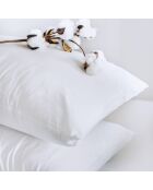 Set de 2 taies d'oreiller en satin de coton Uni blanc - 2x(50x70 cm)