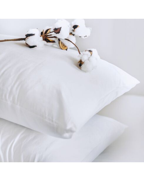 Set de 2 taies d'oreiller en satin de coton Uni blanc - 2x(50x70 cm)