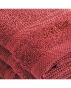 Set de 4 serviettes d'invitées terracotta - 30 cm
