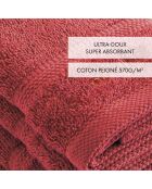 Set de 4 serviettes d'invitées terracotta - 30 cm