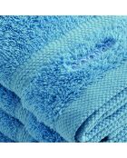 Set de 4 serviettes d'invitées bleu ciel - 30 cm