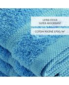Set de 4 serviettes d'invitées bleu ciel - 30 cm