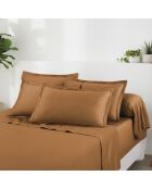 Set de 2 taies d'oreiller en satin de coton Uni 1 baratta marron 01 - 2x(50x70 cm)