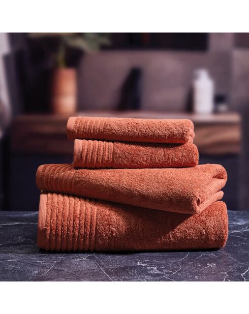 Set di 2 asciugamani in cotone pettinato LT Ecume terracotta - 2x (45x45 cm)
