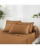 Set de 2 taies d'oreiller en satin de coton Uni 1 baratta marron 01 - 2x(63x63 cm)