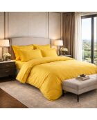 Taie d'oreiller rectangle en percale de coton uni ocre - 50x70cm