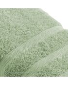 Set van 4 weidegroene gastenservetten - 30 cm