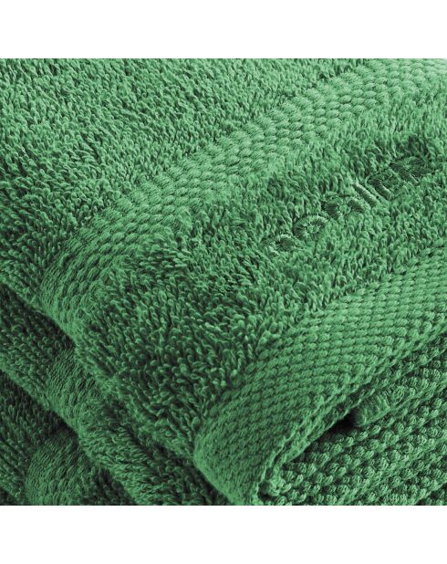 Set van 4 flesjes groene gastenservetten - 30 cm