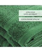 Set van 4 flesjes groene gastenservetten - 30 cm