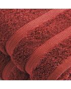Set de 2 serviettes terracotta - 50x100 cm