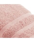 Set de 2 servilletas rosa salmón - 50x100 cm