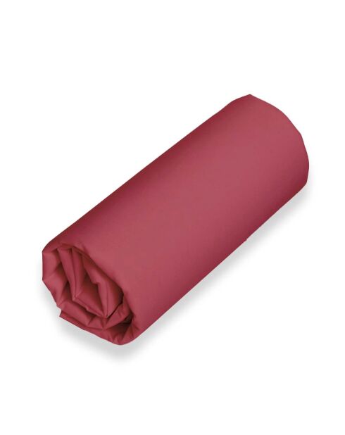 Drap housse en percale de coton uni feu
