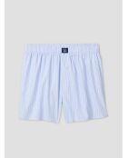 Boxer in cotone a righe celesti