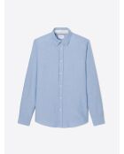 Chemise slim en coton bio bleu ciel