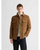 Gesteppte Samtjacke mit braunem Hemdkragen 3