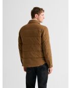 Gesteppte Samtjacke mit braunem Hemdkragen 3