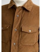 Gesteppte Samtjacke mit braunem Hemdkragen 3