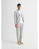 Pantalones de traje bielásticos gris claro