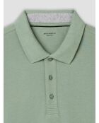 Polo boutonné en coton vert amande