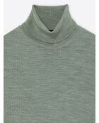 Mandelgrüner Rollkragenpullover aus Merinowolle